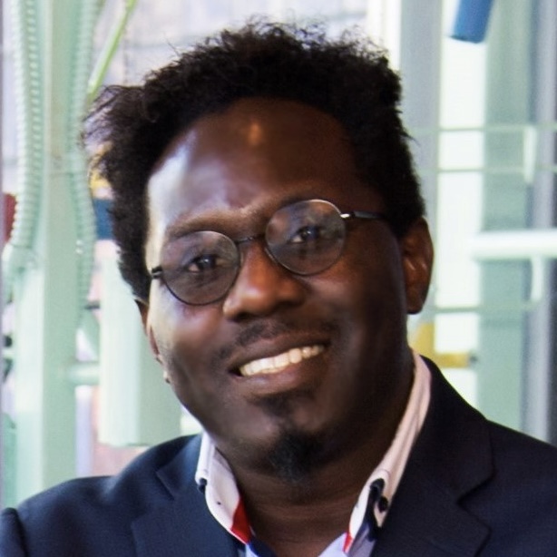 Deji Akinwande