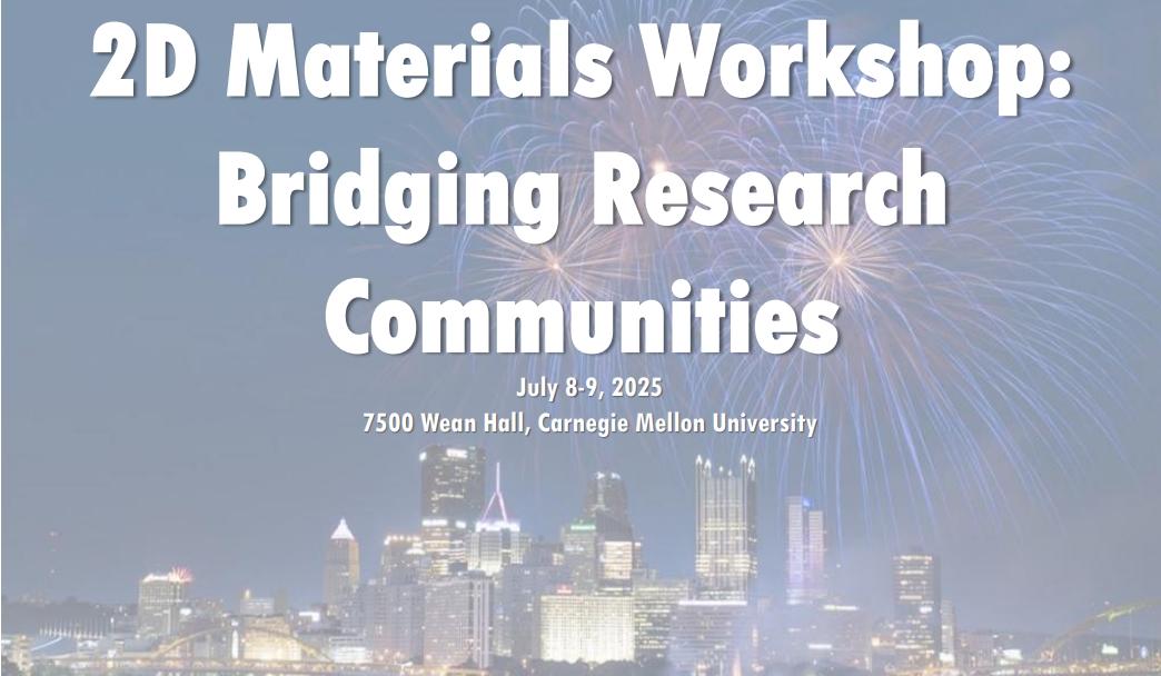 2d materials workshop