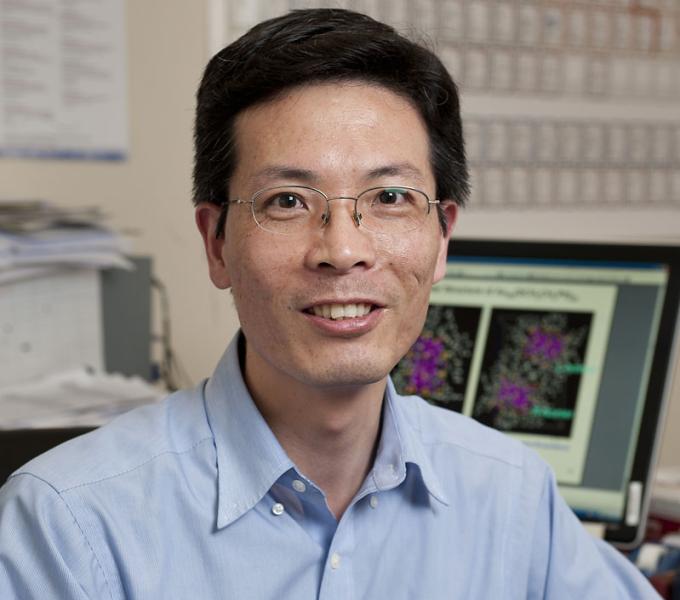 Headshot Professor Rongchao Jin